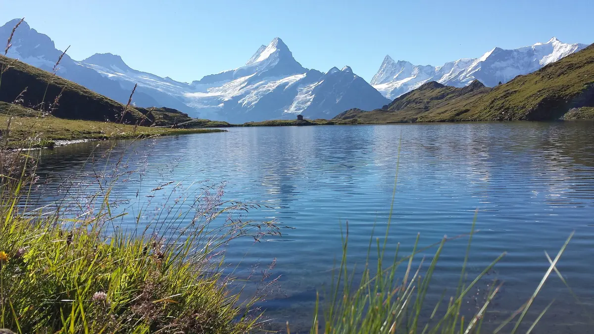 Bachalpsee lake above Grindelwald with the snow-capped peaks of the Bernese Alps